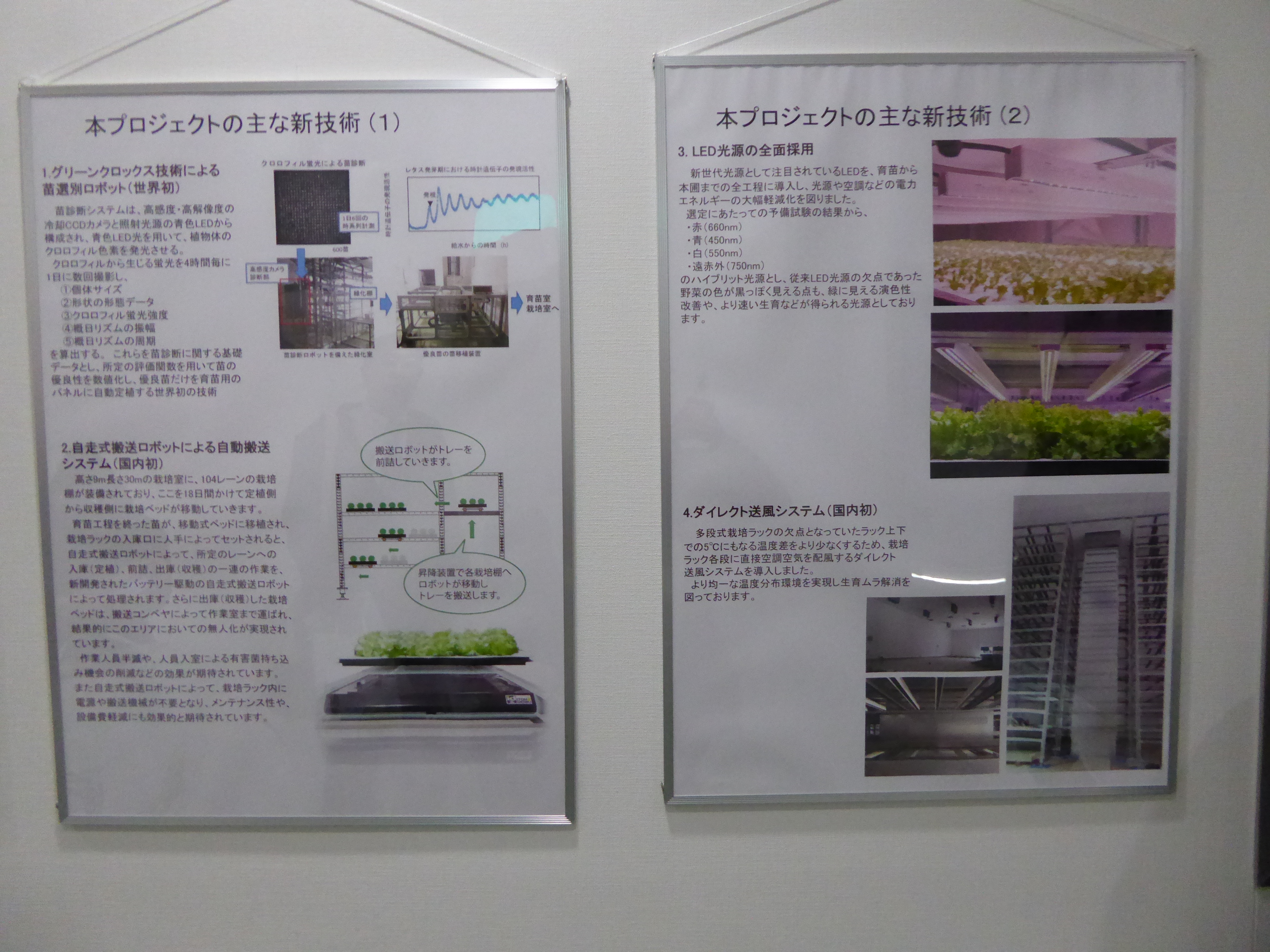 P1020174.JPG