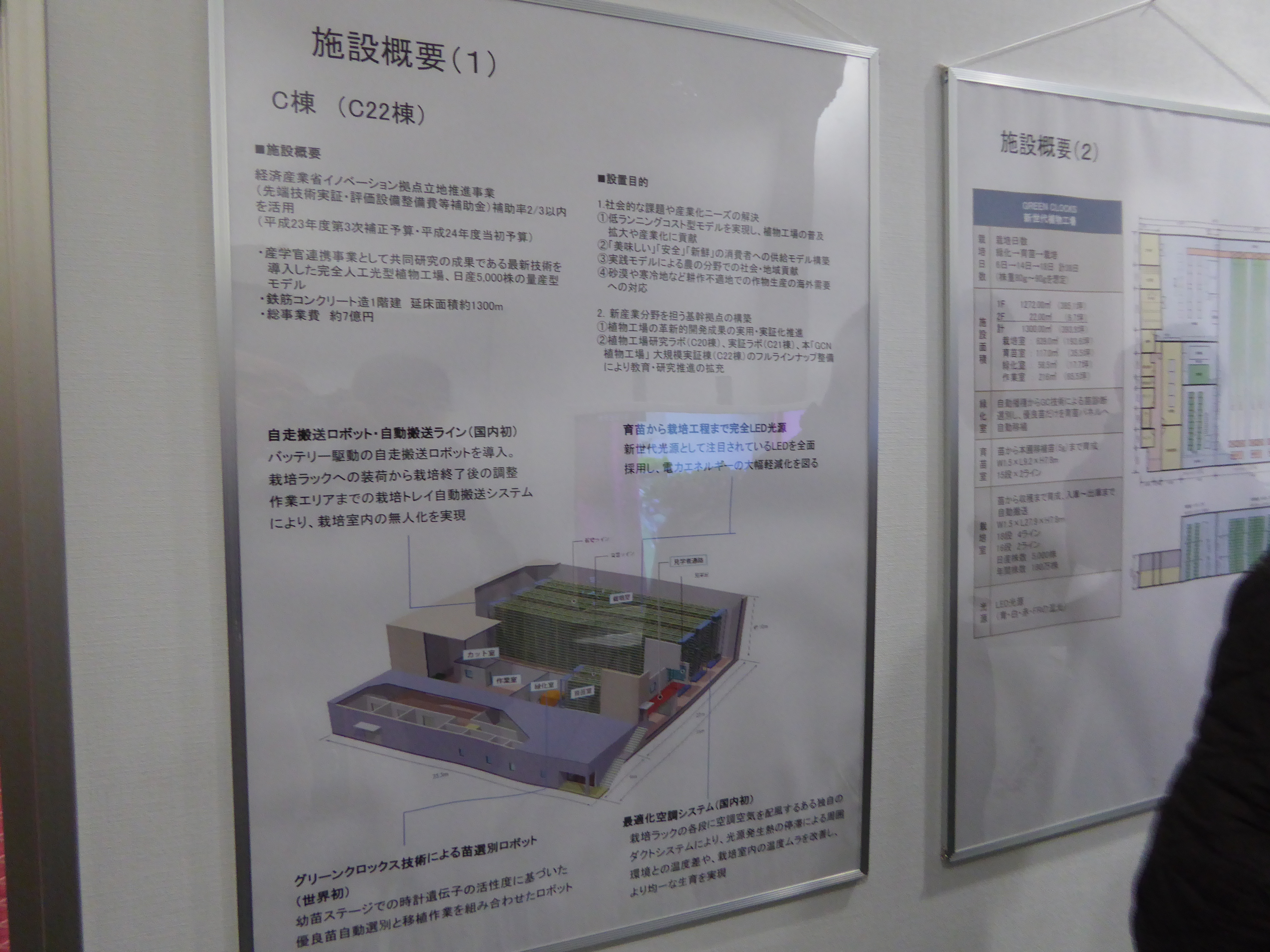 P1020175.JPG