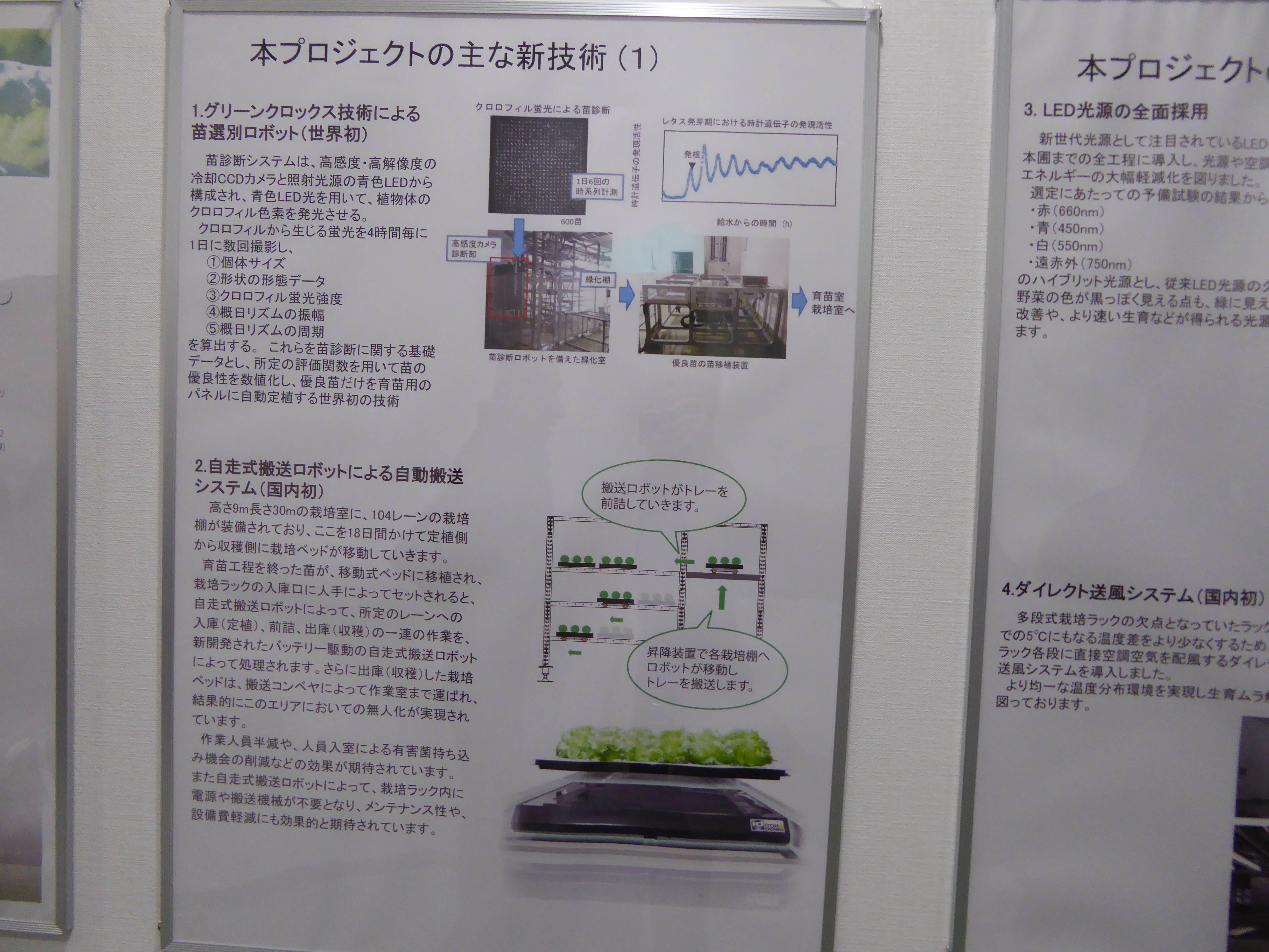 P1020181.JPG