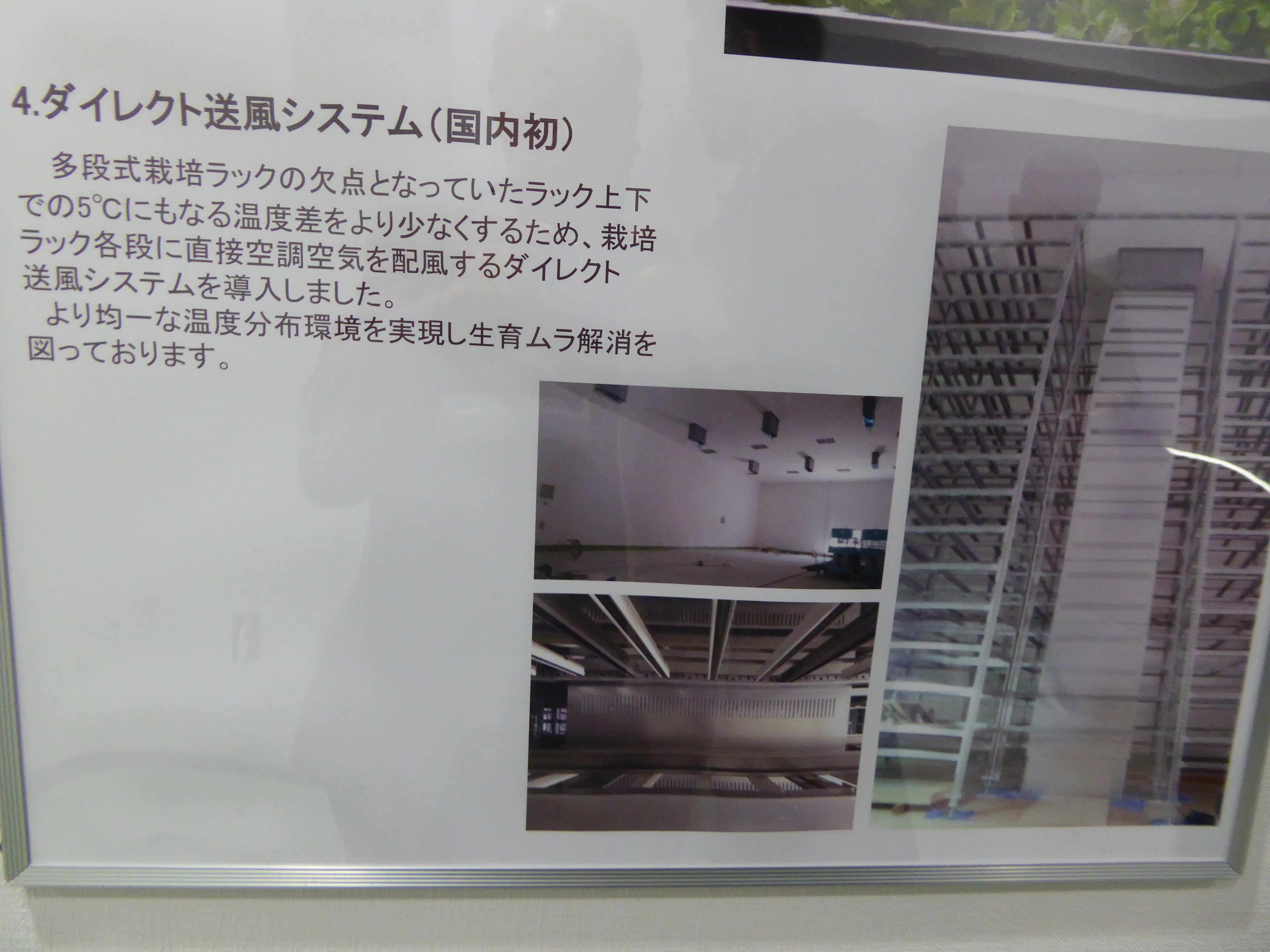 P1020183.JPG