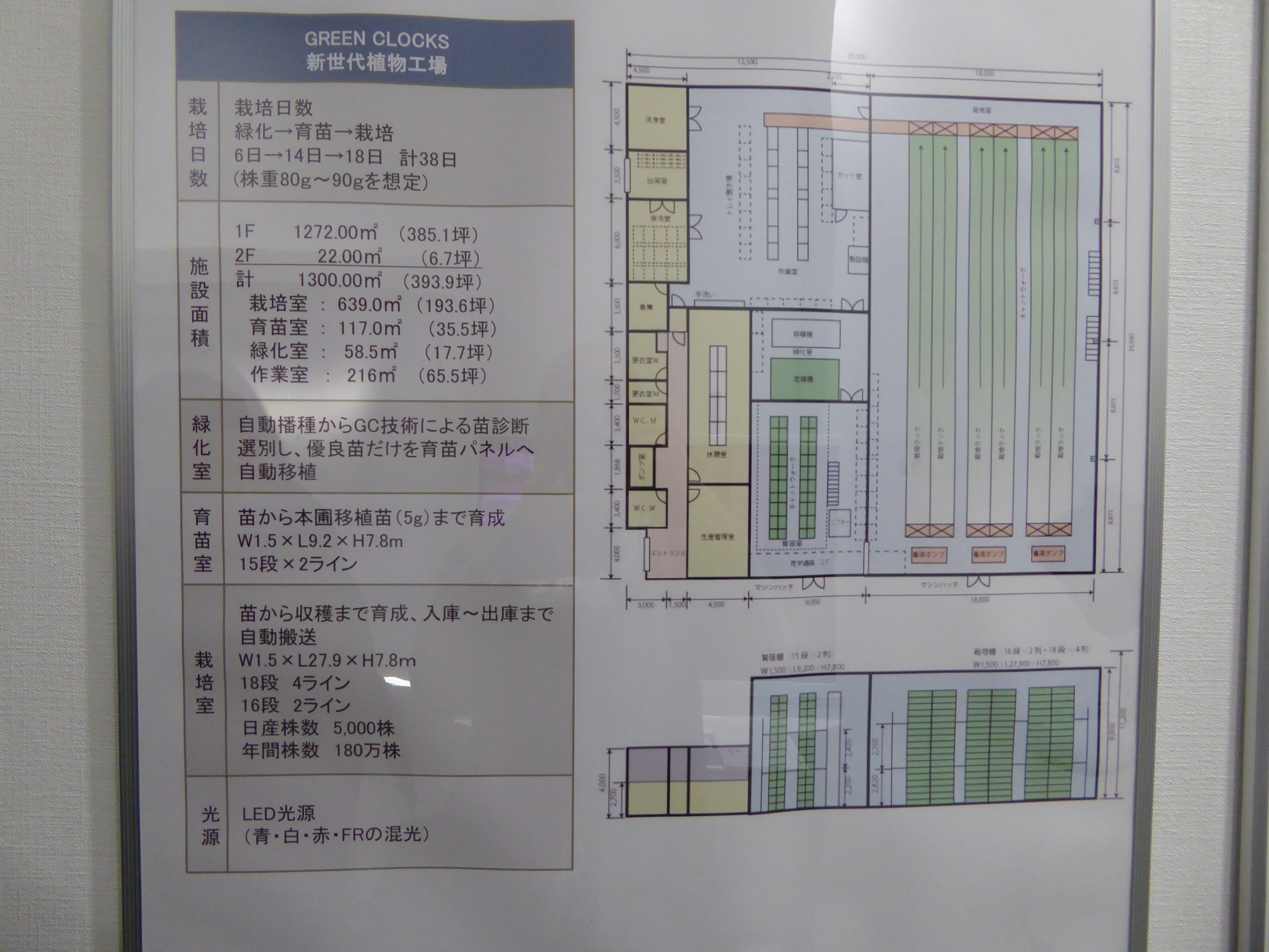 P1020184.JPG