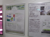 img0065.jpg