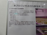 img0074.jpg