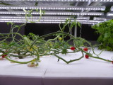 img0090.jpg