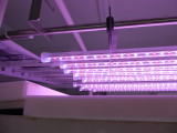 img0096.jpg