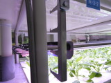 img0105.jpg