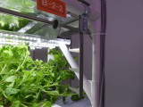 img0106.jpg