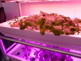 img0147.jpg