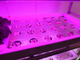 img0148.jpg