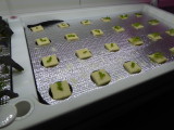 img0153.jpg