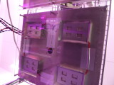 img0160.jpg