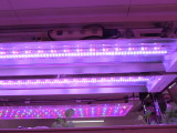 img0167.jpg