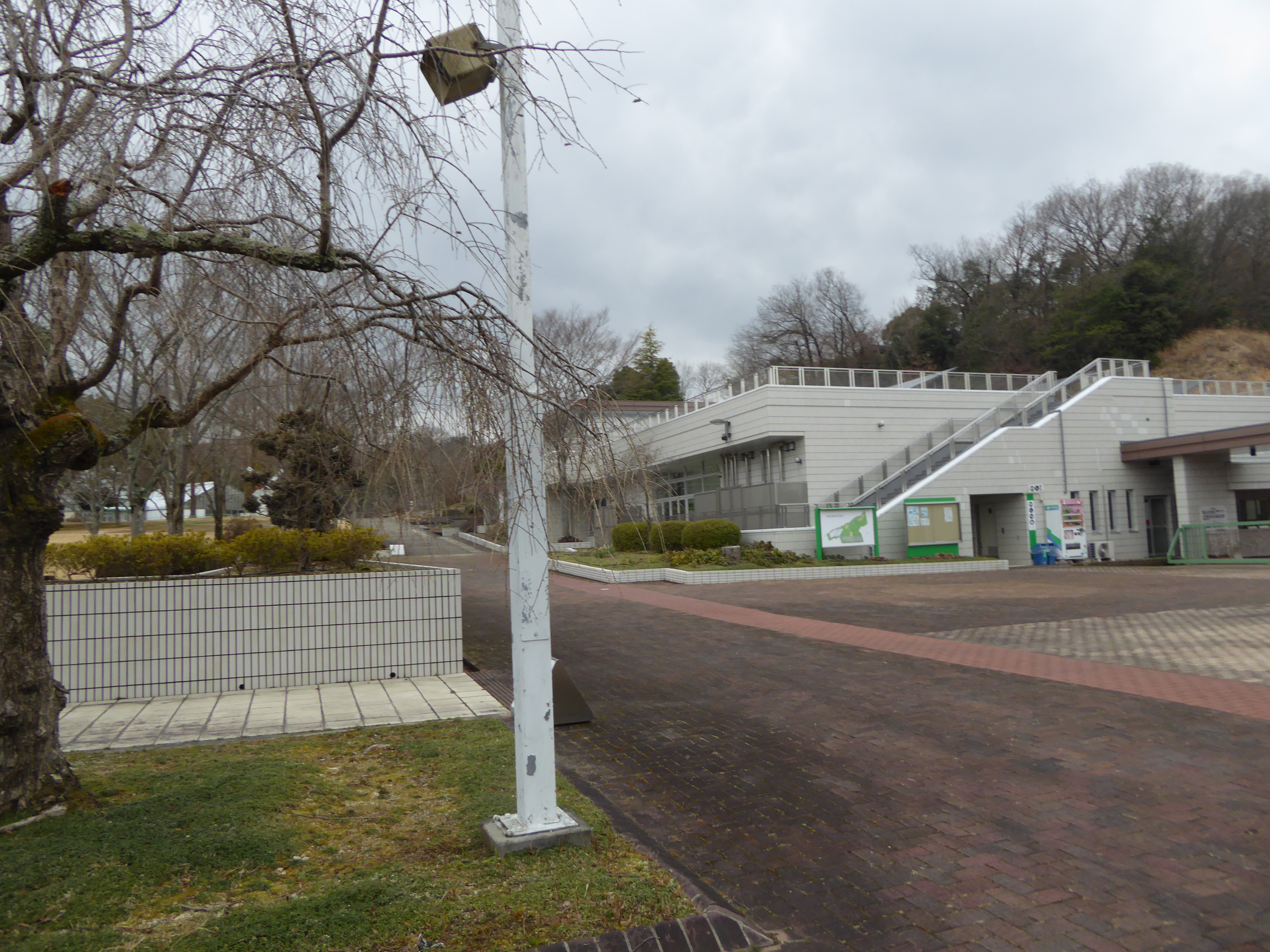 P1020287.JPG