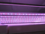 img0008.jpg