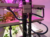 img0040.jpg
