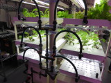 img0045.jpg