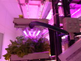 img0054.jpg