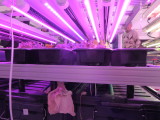img0055.jpg