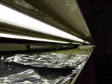 img0067.jpg