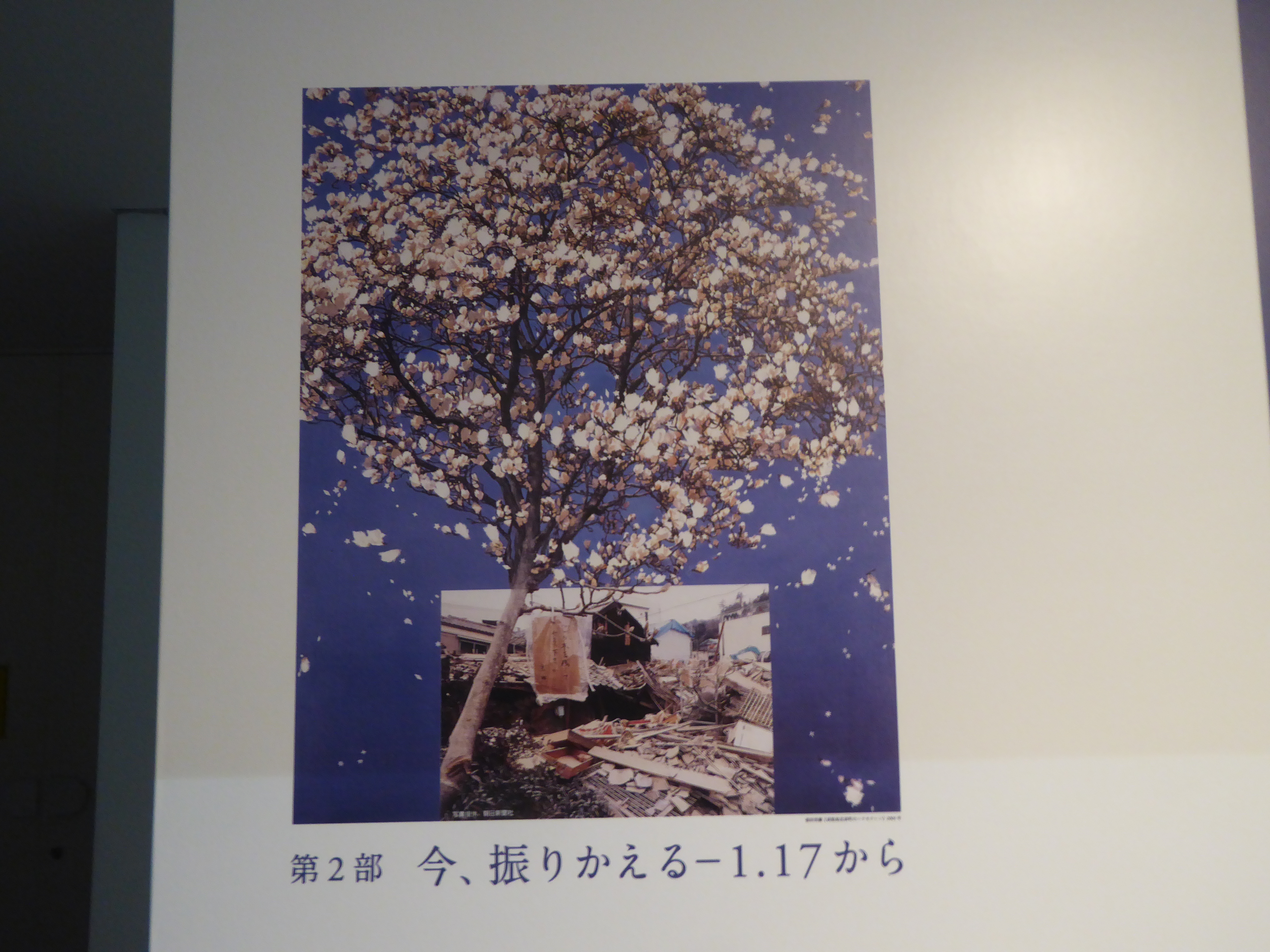 P1020325.JPG