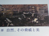 img0007.jpg