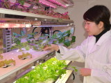 img0006.jpg