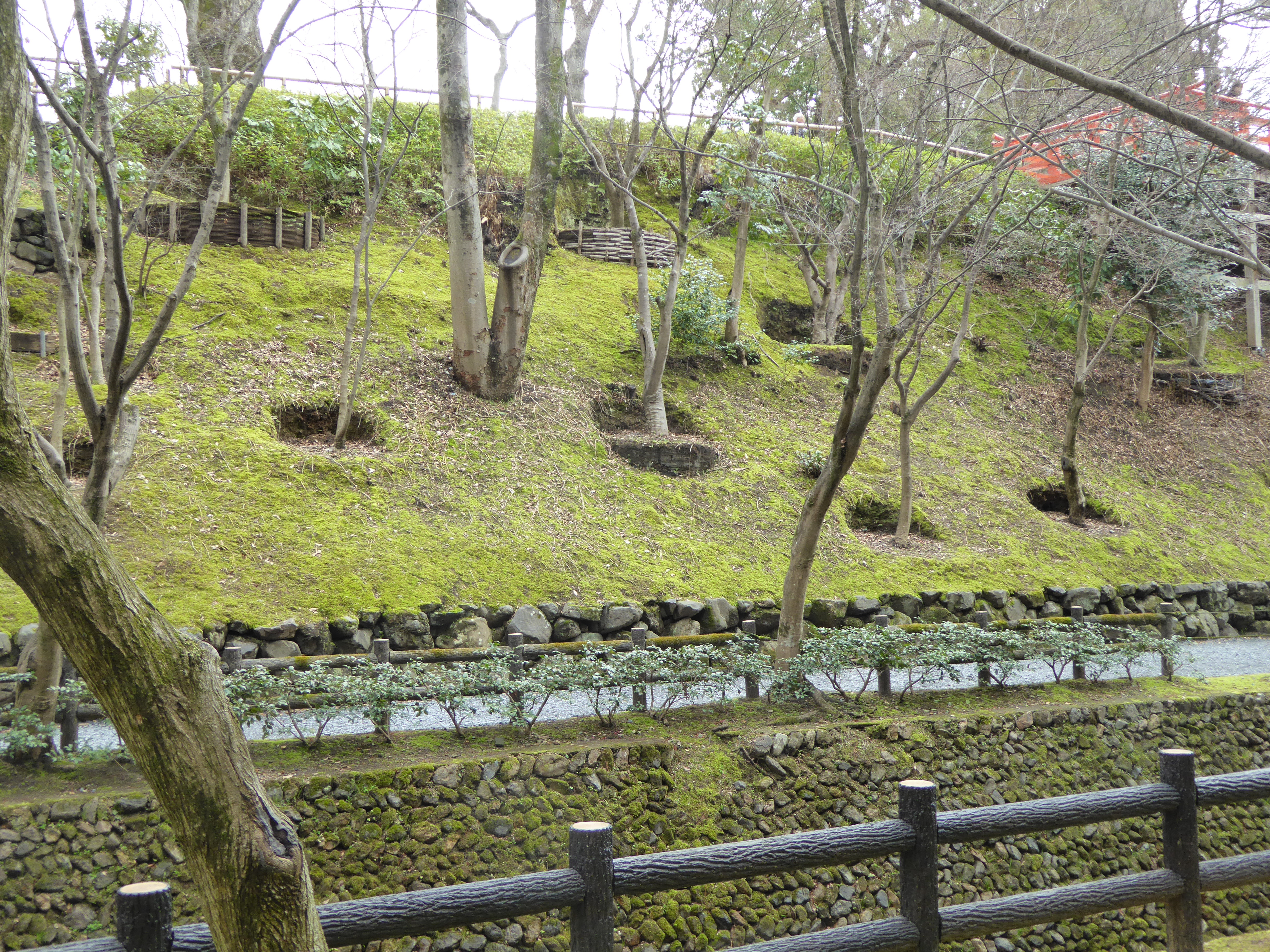 P1020390.JPG