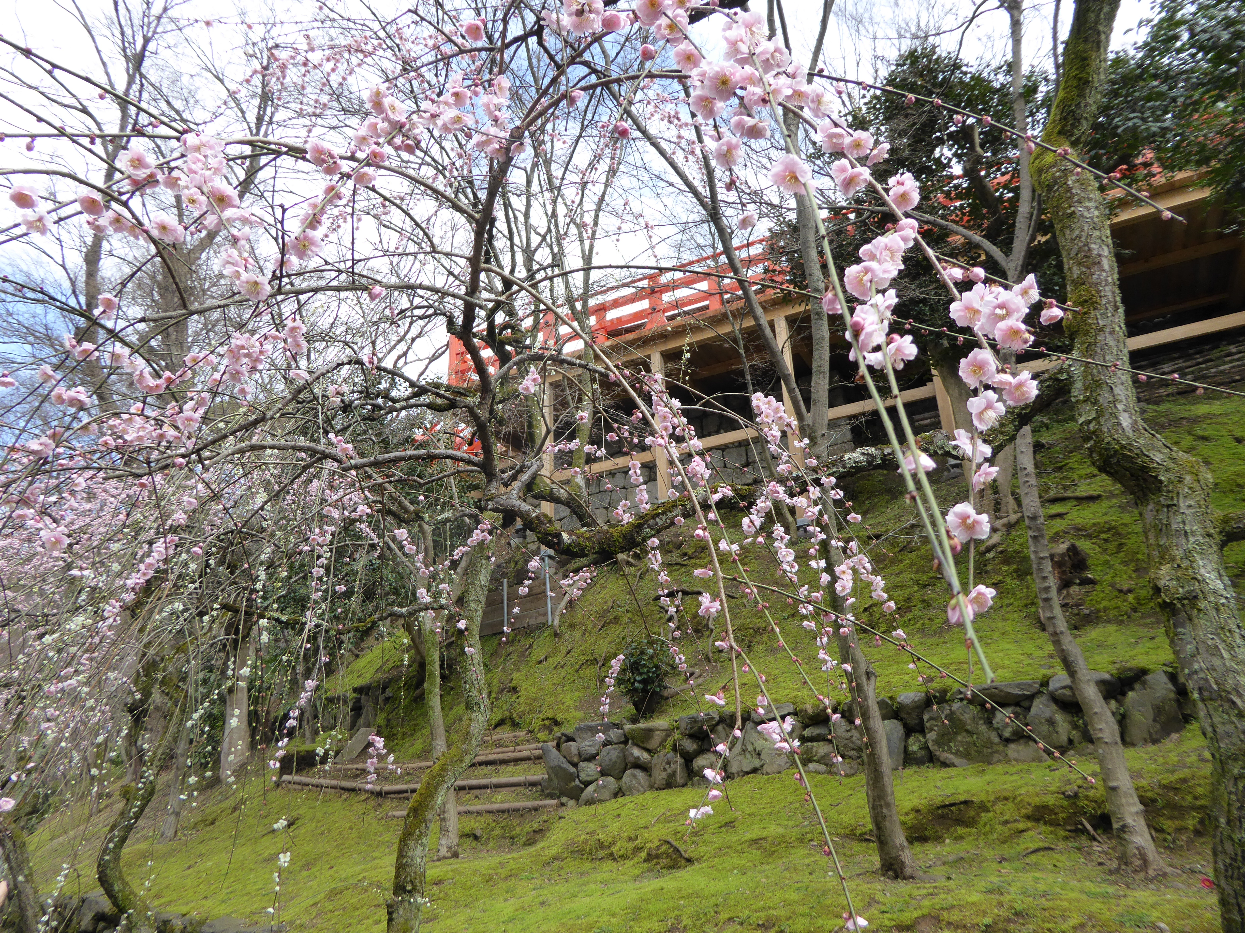 P1020392.JPG