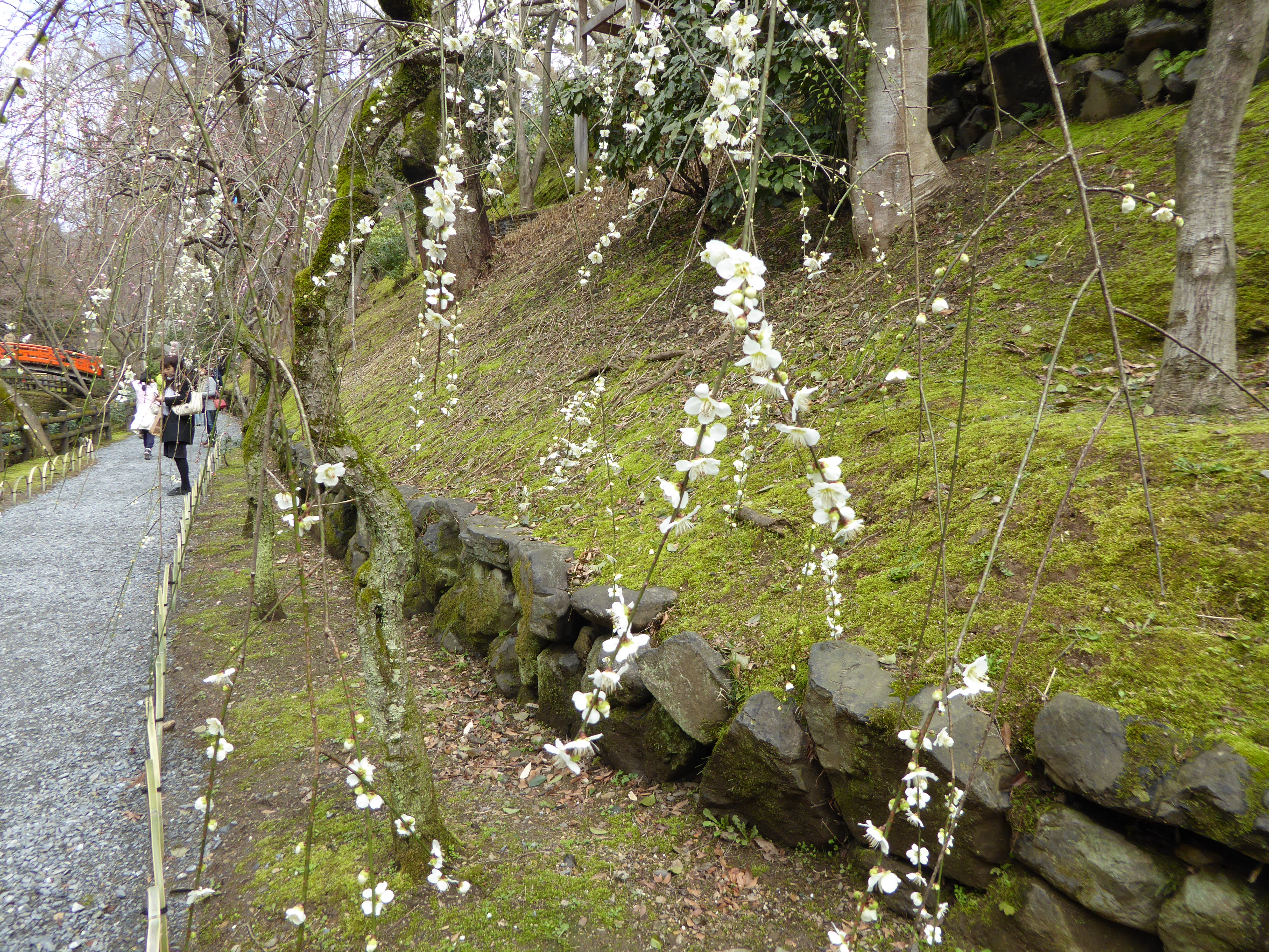 P1020393.JPG