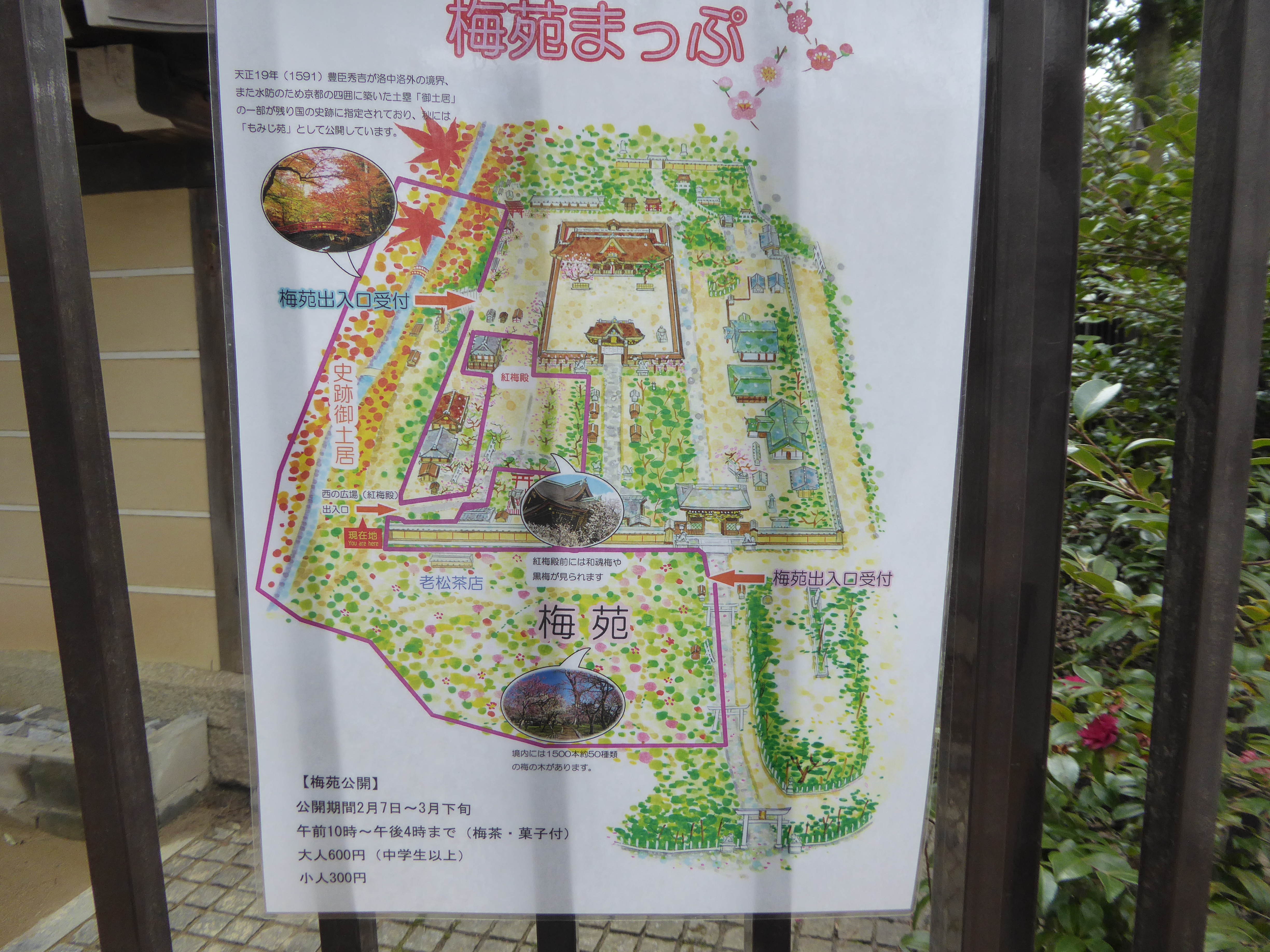P1020401.JPG