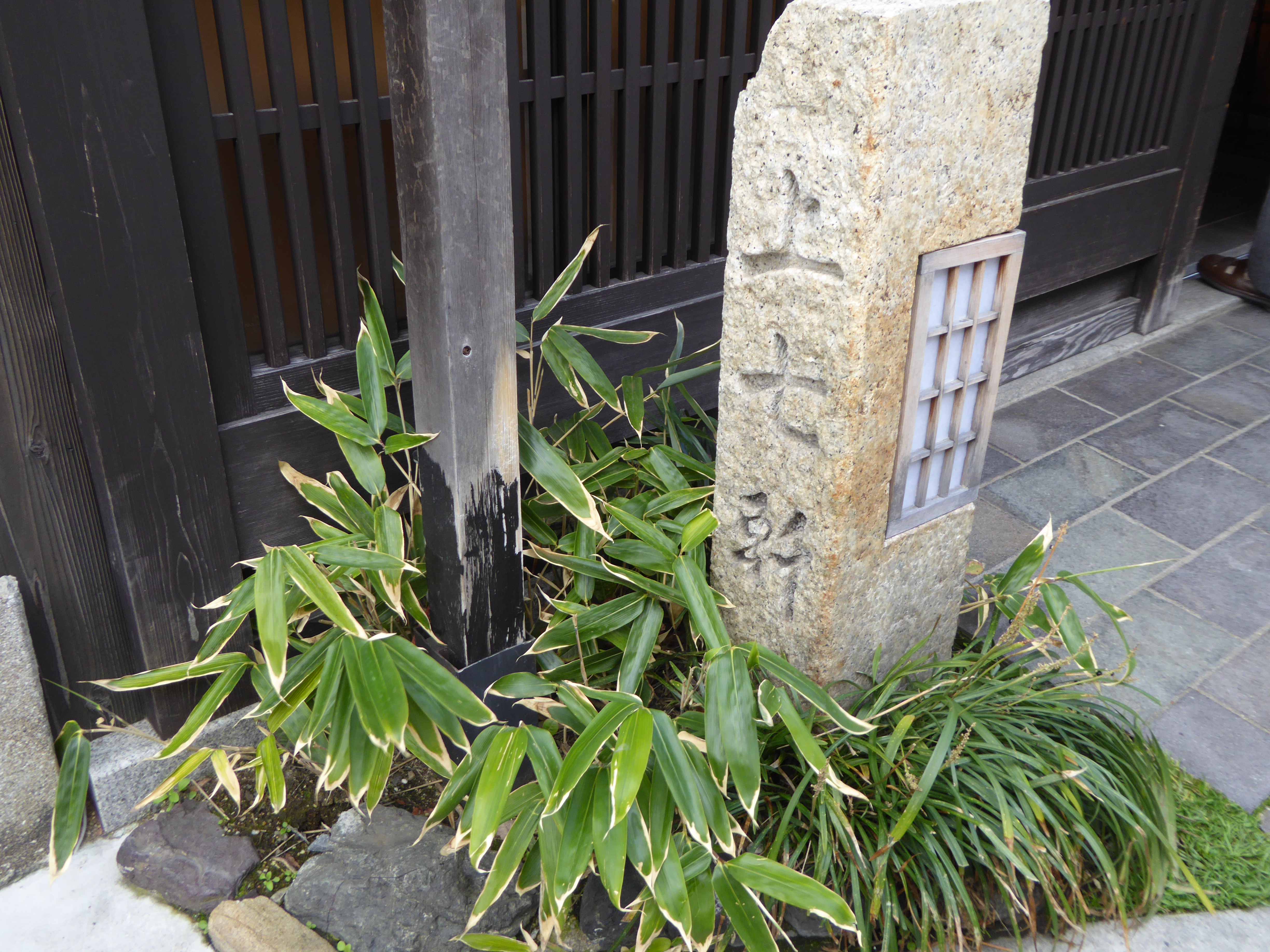 P1020453.JPG