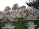 img0004.jpg