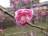 img0013.jpg