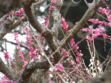 img0016.jpg