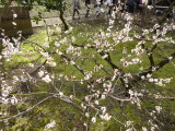 img0018.jpg