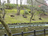 img0021.jpg