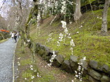 img0024.jpg