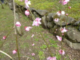 img0025.jpg