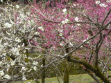 img0027.jpg