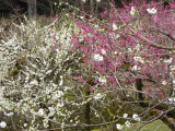 img0028.jpg