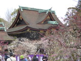 img0030.jpg