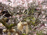 img0032.jpg