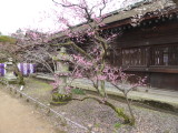 img0034.jpg