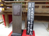 img0036.jpg