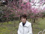 img0041.jpg