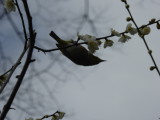 img0042.jpg