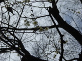 img0043.jpg