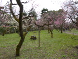 img0045.jpg