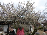 img0047.jpg