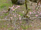 img0048.jpg